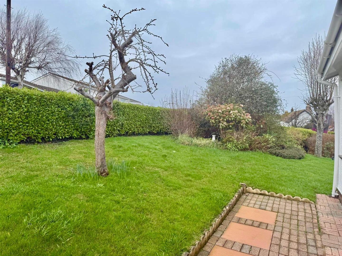 PHOTO-2026-02-23-11-38-55 (8).jpg